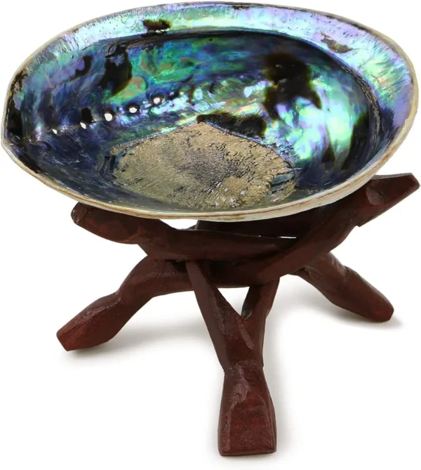 Polished Abalone Shell New Zealand Green Abalone shells 100% Natural Shell for Smudging Cleansing Meditation Home Décor and Gift - Image 2