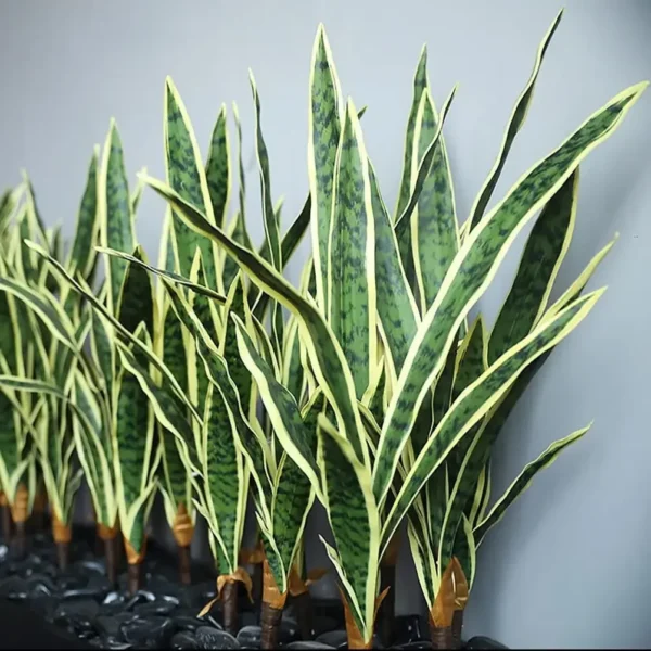 4 Pcs 30" Sansevieria Snake Artificial Plant Plastic Greenery Perfect Faux Agave Plant for Home Office Décor - Image 6